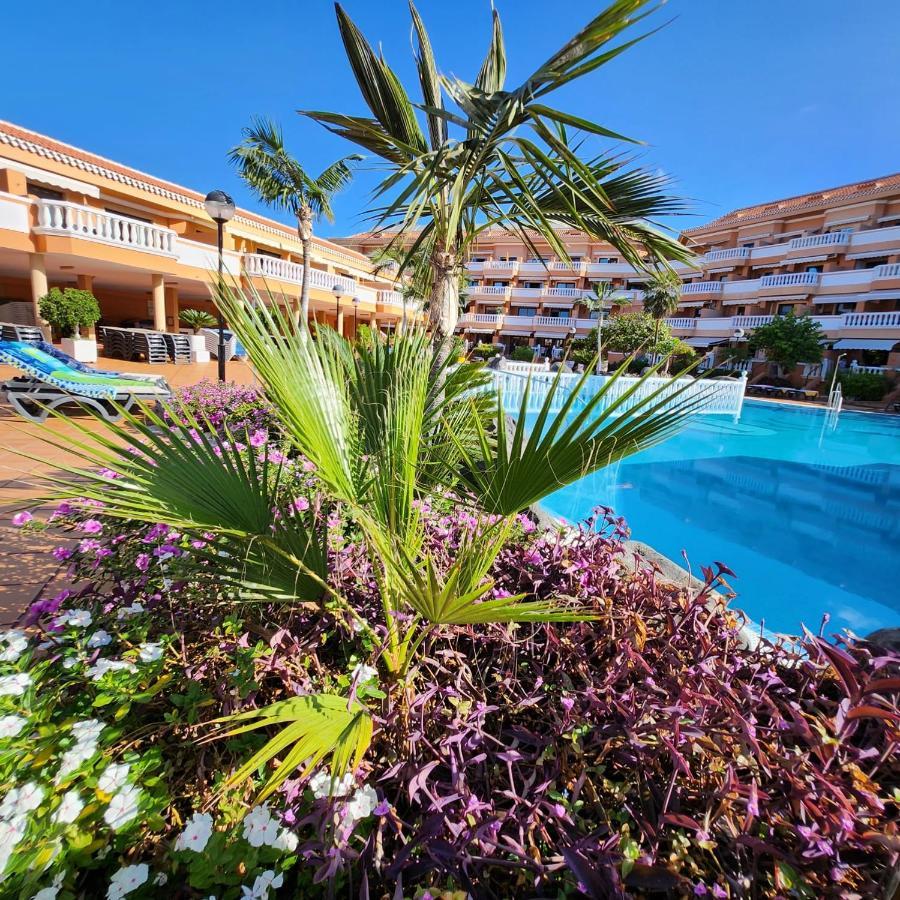 Apartment Tenerife Holidays Deluxe, Royal Garden, Americas *