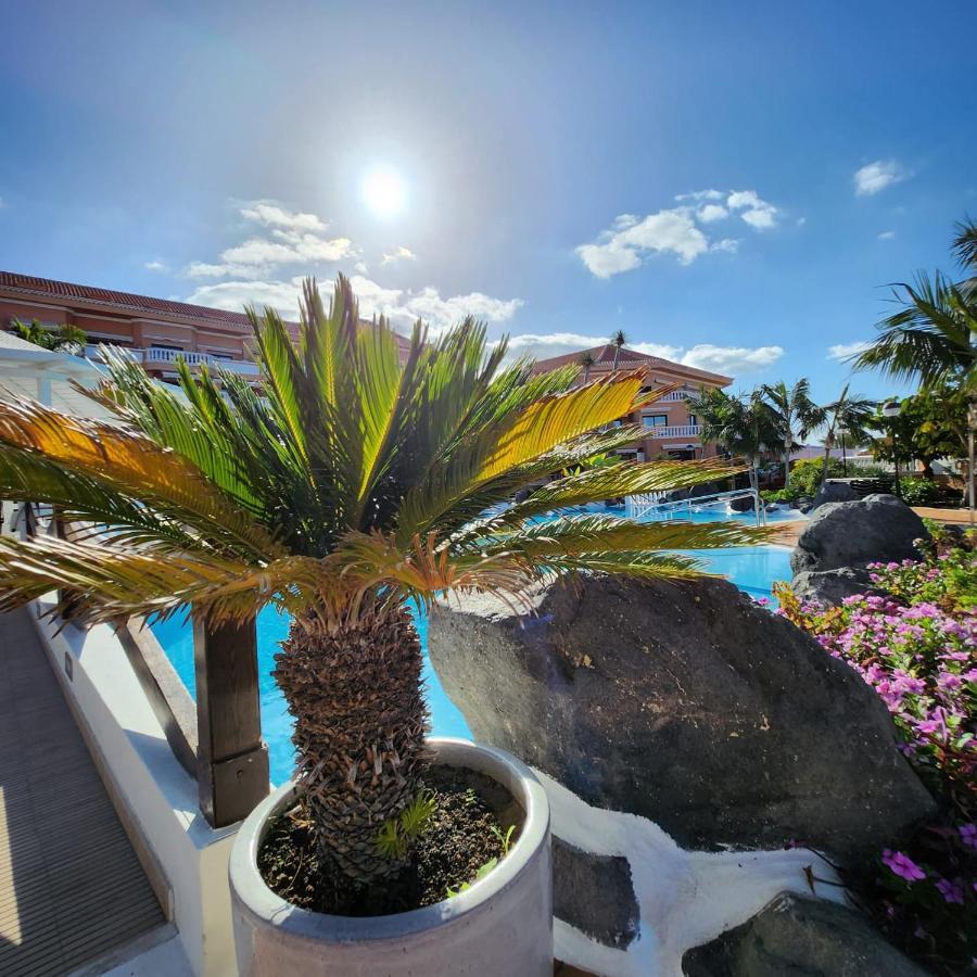 Tenerife Delux, Royal Garden, Lasamericas